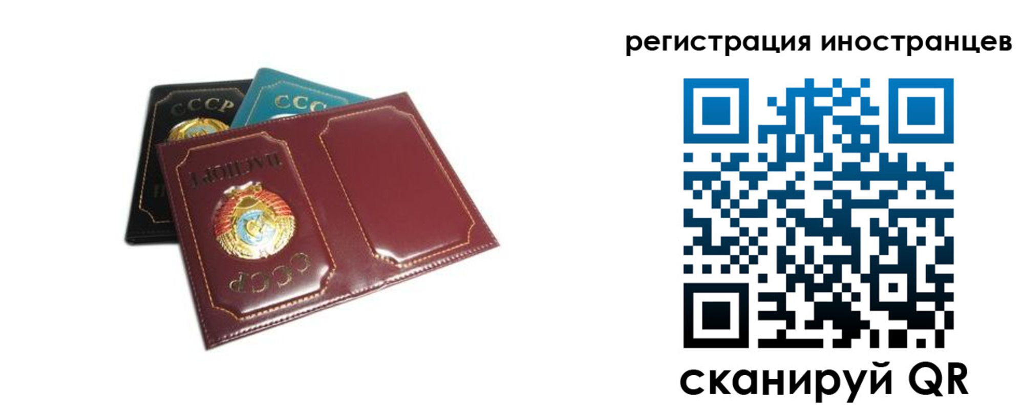 где прописаться в Сегеже
